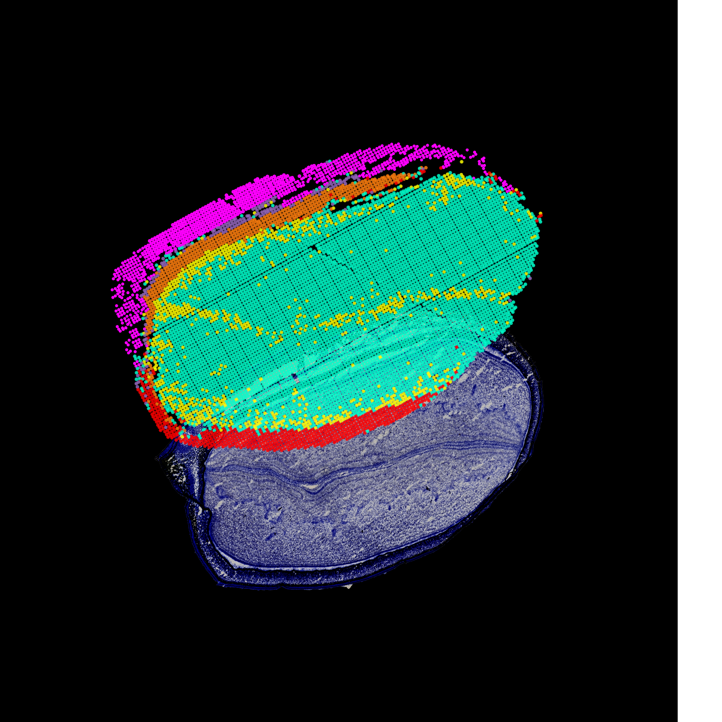 Spatial transcriptomic map of soybean tissue