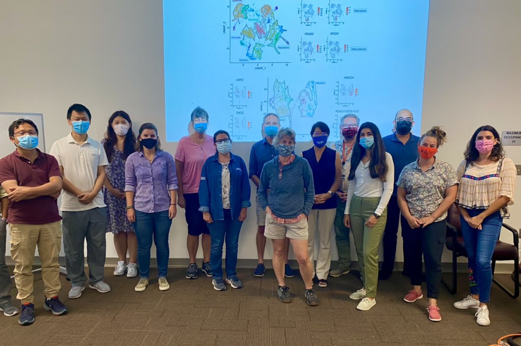 Ziliang Luo presenting a single-cell genomics seminar at the University of Florida
